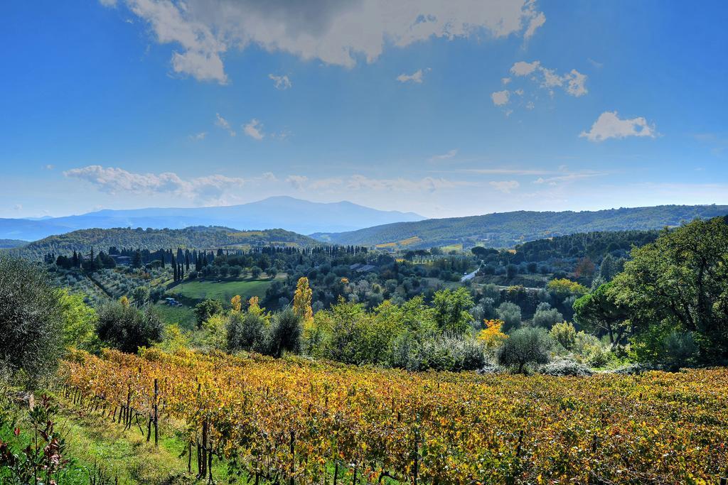 Agriturismo Fraschetta Montalcino Eksteriør billede