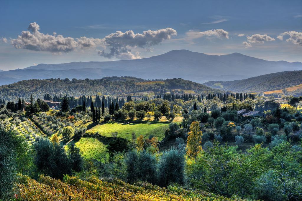 Agriturismo Fraschetta Montalcino Eksteriør billede