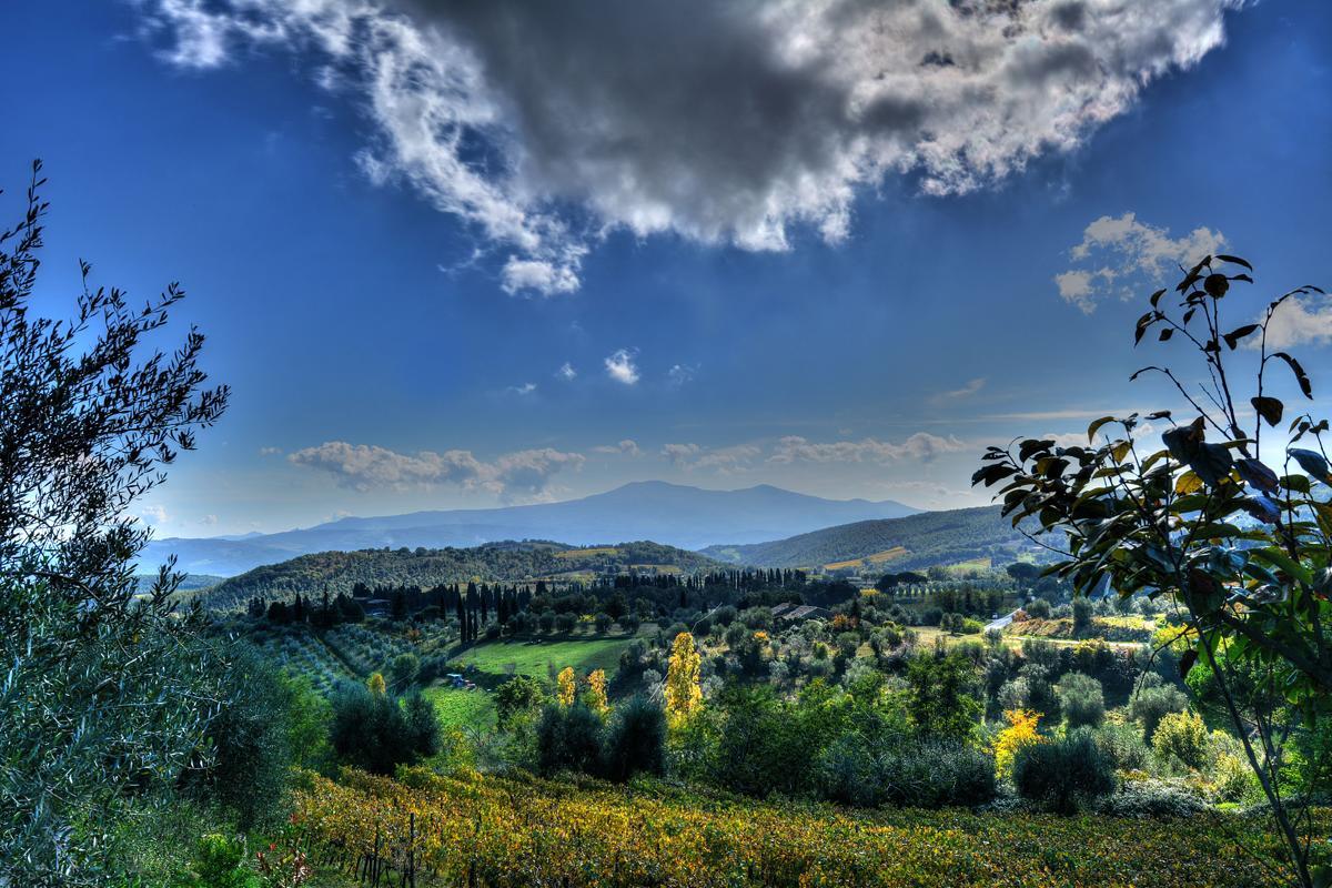 Agriturismo Fraschetta Montalcino Eksteriør billede